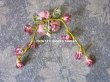 画像5: 未使用 1920年代 アンティーク ロココモチーフ ピンクの薔薇 (5)