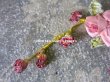 画像3: 未使用 1920年代 アンティーク ロココモチーフ ピンクの薔薇 (3)