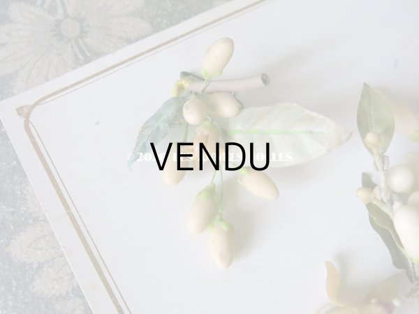 画像11: 未使用 アンティーク レースペーパー付ボックス入り＆台紙付 ワックスフラワーのセット ウェディング 結婚式  (11)