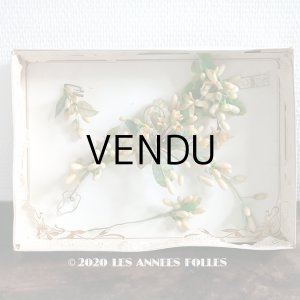 画像: 未使用 アンティーク レースペーパー付ボックス入り＆台紙付 ワックスフラワーのセット ウェディング 結婚式 