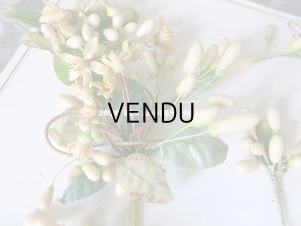 画像9: 未使用 アンティーク レースペーパー付ボックス入り＆台紙付 ワックスフラワーのセット ウェディング 結婚式  (9)