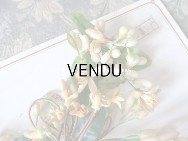 画像6: 未使用 アンティーク レースペーパー付ボックス入り＆台紙付 ワックスフラワーのセット ウェディング 結婚式  (6)