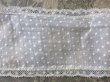 画像9: アンティーク  ドットの刺繍入り コットン生地のリボン　4.5m ヴァランシエンヌレースの縁取り (9)
