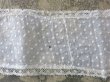 画像12: アンティーク  ドットの刺繍入り コットン生地のリボン　4.5m ヴァランシエンヌレースの縁取り (12)