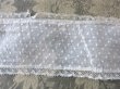画像10: アンティーク  ドットの刺繍入り コットン生地のリボン　4.5m ヴァランシエンヌレースの縁取り (10)