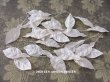 画像1: アンティーク  リーフのセット パウダーピンク 布花材料　24ピースのセット (1)