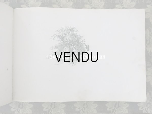画像5: 19世紀　アンティーク 薔薇模様の黒いアルバム ALBUM  (5)