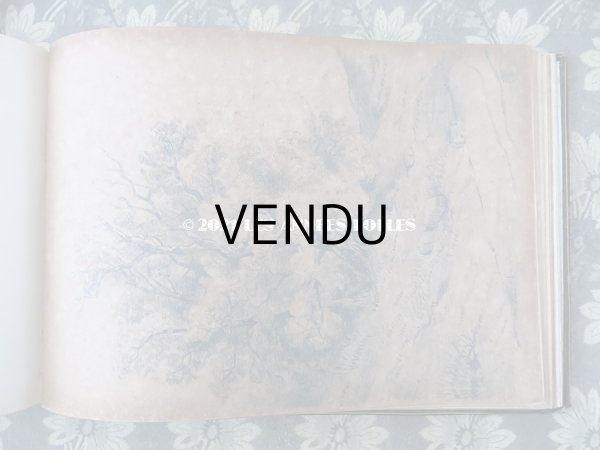 画像6: 19世紀　アンティーク 薔薇模様の黒いアルバム ALBUM  (6)