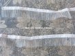 画像2: アンティーク シルク製 チュールレースのプリーツリボン オフホワイト  2.5cm幅  56cm (2)