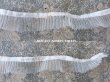 画像3: アンティーク シルク製 チュールレースのプリーツリボン オフホワイト  2.5cm幅  56cm (3)