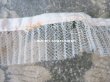 画像6: アンティーク シルク製 チュールレースのプリーツリボン オフホワイト  2.5cm幅  56cm (6)