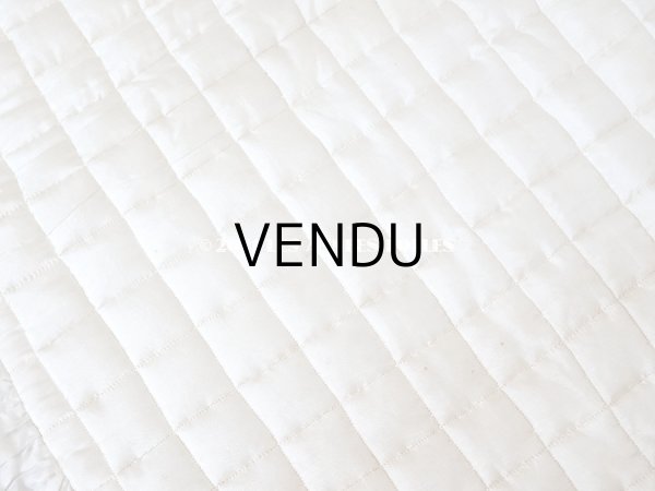 画像11: 1900年代 アンティーク シルク製 大きなポシェット 薔薇と蝶々のハンドペイント オフホワイト (11)