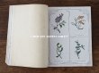 画像6: 1900年代 アンティーク 刺繍の本 LE GUIDE DE LA BRODEUSE - EDITION ARTISTIQUE DE LA BRODERIE LYONNAISE - (6)