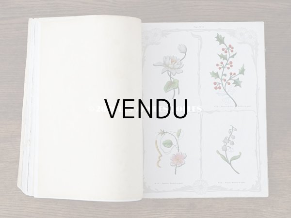 画像8: 1900年代 アンティーク 刺繍の本 LE GUIDE DE LA BRODEUSE - EDITION ARTISTIQUE DE LA BRODERIE LYONNAISE - (8)