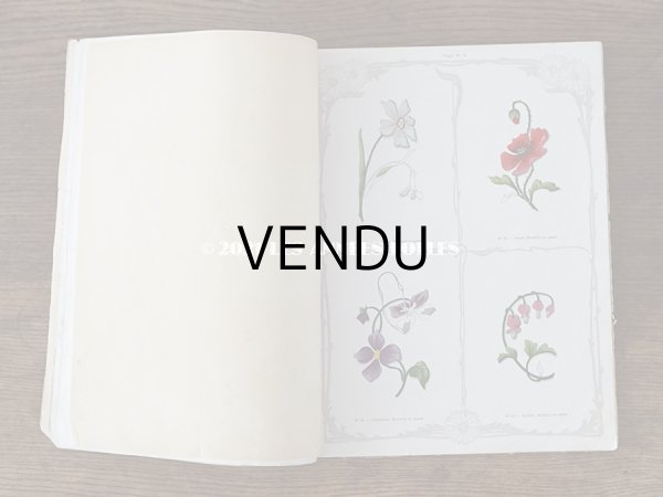画像5: 1900年代 アンティーク 刺繍の本 LE GUIDE DE LA BRODEUSE - EDITION ARTISTIQUE DE LA BRODERIE LYONNAISE - (5)