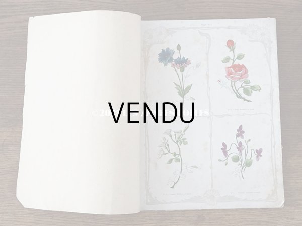 画像3: 1900年代 アンティーク 刺繍の本 LE GUIDE DE LA BRODEUSE - EDITION ARTISTIQUE DE LA BRODERIE LYONNAISE - (3)