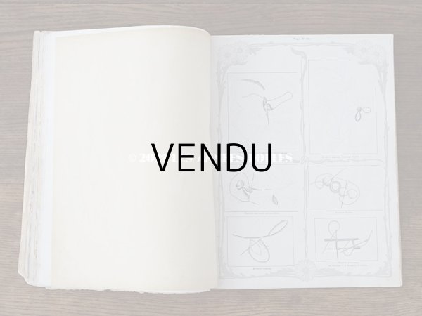 画像13: 1900年代 アンティーク 刺繍の本 LE GUIDE DE LA BRODEUSE - EDITION ARTISTIQUE DE LA BRODERIE LYONNAISE - (13)
