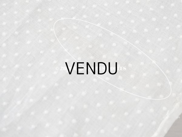 画像5: アンティーク  ドットの刺繍入り コットン生地 334×44cm (5)