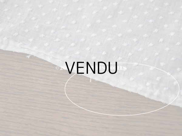 画像9: アンティーク  ドットの刺繍入り コットン生地 334×44cm (9)