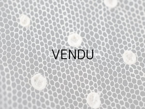 画像5: 18世紀 未使用 アンティーク ニードルレース アランソンレース 新品同様 150cm 7.7cm幅 『ポワン・ダランソン（アランソン）』  (5)