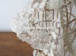 画像7: アンティーク  ウェディングヴェール  約210×194cm アプリカシオン・ブリュッセル (ニードルレース & ボビンレース)　 (7)