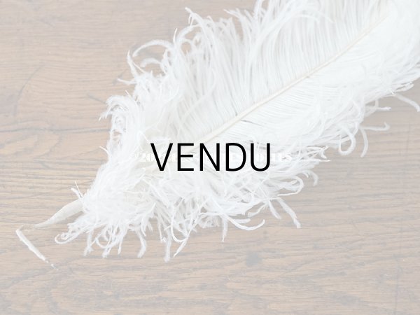 画像5: 【11周年セール対象外】 アンティーク フェザー オフホワイト 羽飾り  (5)