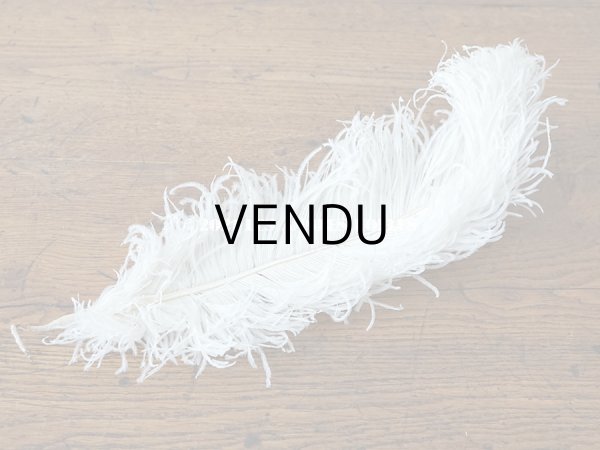 画像3: 【11周年セール対象外】 アンティーク フェザー オフホワイト 羽飾り  (3)