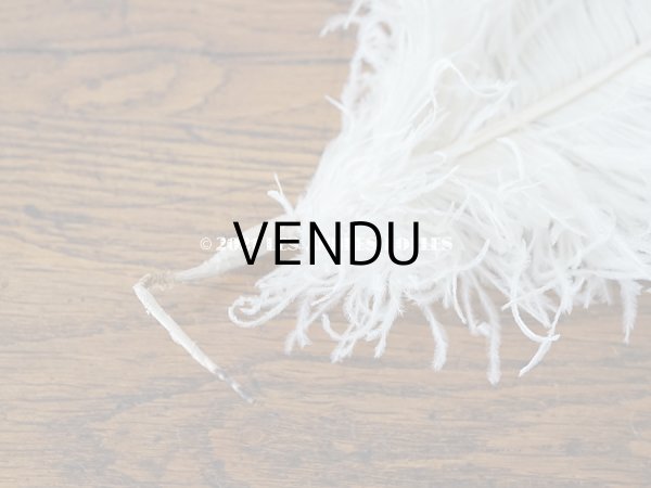 画像4: 【11周年セール対象外】 アンティーク フェザー オフホワイト 羽飾り  (4)