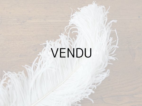 画像6: 【11周年セール対象外】 アンティーク フェザー オフホワイト 羽飾り  (6)