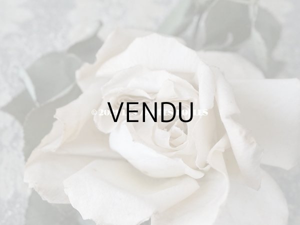 画像6: 1900年代 アンティーク　オフホワイトの薔薇の大きな布花  (6)