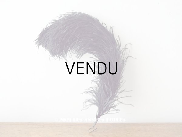 画像1: 1900年代 アンティーク フェザー 深紫 羽飾り ブラックパープル (1)