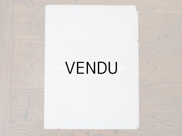 画像3: アンティーク 版画 植物画　薔薇　& ムクゲ　＆　デルフィニウム (3)