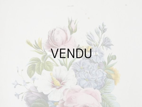 画像4: アンティーク 版画 植物画　薔薇　& ムクゲ　＆　デルフィニウム (4)