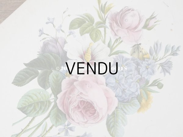 画像6: アンティーク 版画 植物画　薔薇　& ムクゲ　＆　デルフィニウム (6)
