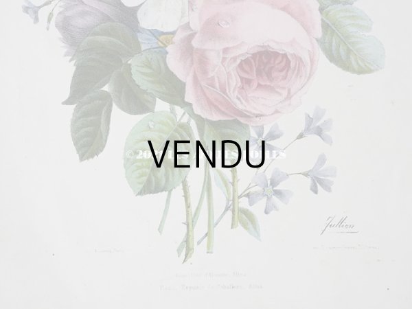 画像5: アンティーク 版画 植物画　薔薇　& ムクゲ　＆　デルフィニウム (5)