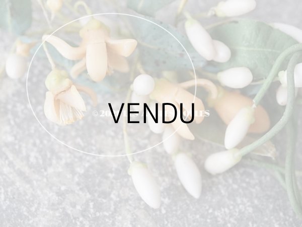 画像6: アンティークワックスフラワーのティアラ & ブーケのセット ウェディング 結婚式  (6)