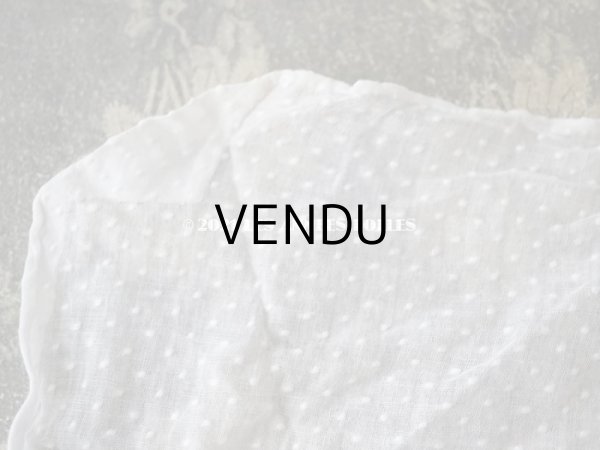 画像11: アンティーク  ドットの刺繍入り コットン生地  (11)