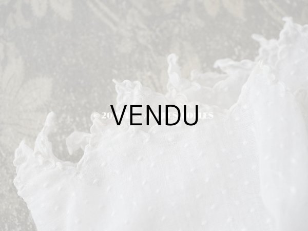 画像14: アンティーク  ドットの刺繍入り コットン生地  (14)