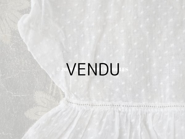 画像6: アンティーク  ドットの刺繍入り コットン生地  (6)