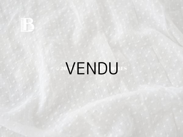 画像9: アンティーク  ドットの刺繍入り コットン生地  (9)