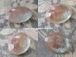 画像4: アンティーク  特大 サフィリーンのルース 2.8×2.1cm (4)