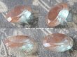 画像5: アンティーク  特大 サフィリーンのルース 2.8×2.1cm (5)