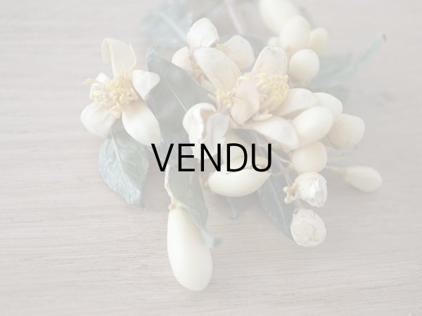 画像12: 19世紀末 アンティークワックスフラワーのティアラ & ブートニアのセット ウェディング 結婚式  (12)