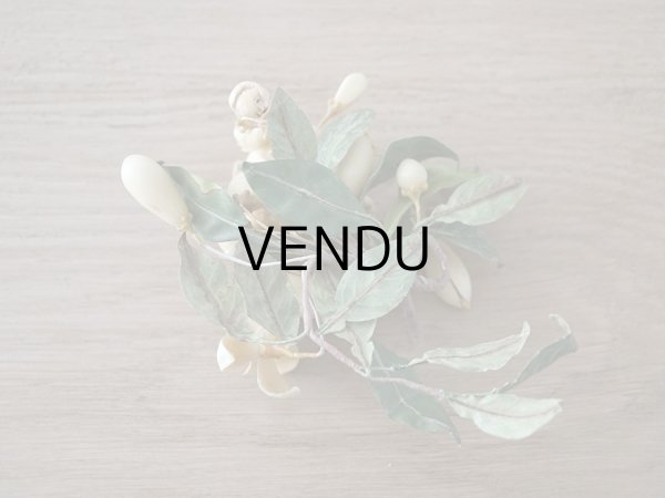 画像13: 19世紀末 アンティークワックスフラワーのティアラ & ブートニアのセット ウェディング 結婚式  (13)