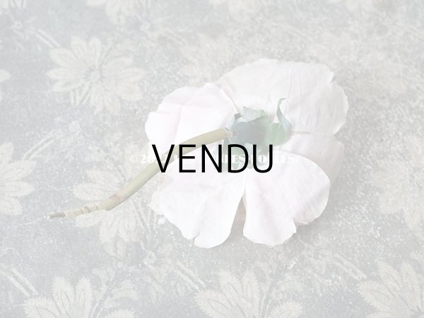 画像4: 1900年代 アンティーク　薔薇の大きな布花 パウダーピンク (4)