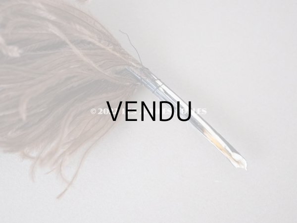 画像4: 1900年頃 アンティーク フェザー チョコレートブラウン 羽飾り  (4)