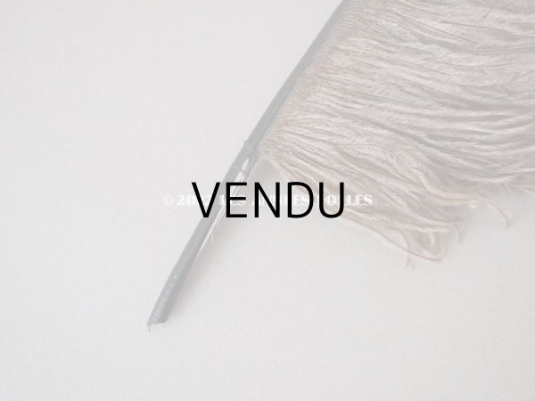 画像3: 1900年頃 アンティーク フェザー チョコレートブラウン 羽飾り  (3)