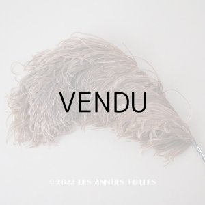 画像: 1900年頃 アンティーク フェザー チョコレートブラウン 羽飾り 