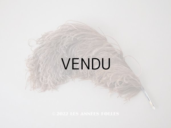 画像1: 1900年頃 アンティーク フェザー チョコレートブラウン 羽飾り  (1)