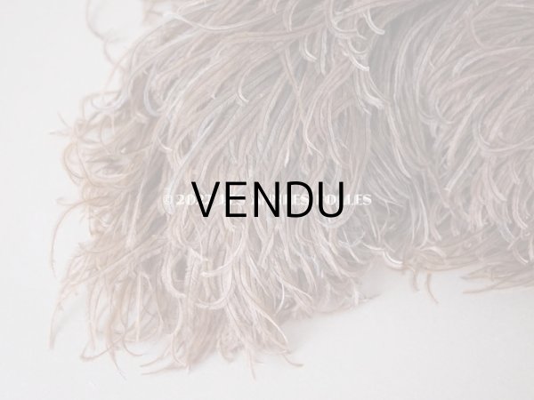 画像2: 1900年頃 アンティーク フェザー チョコレートブラウン 羽飾り  (2)